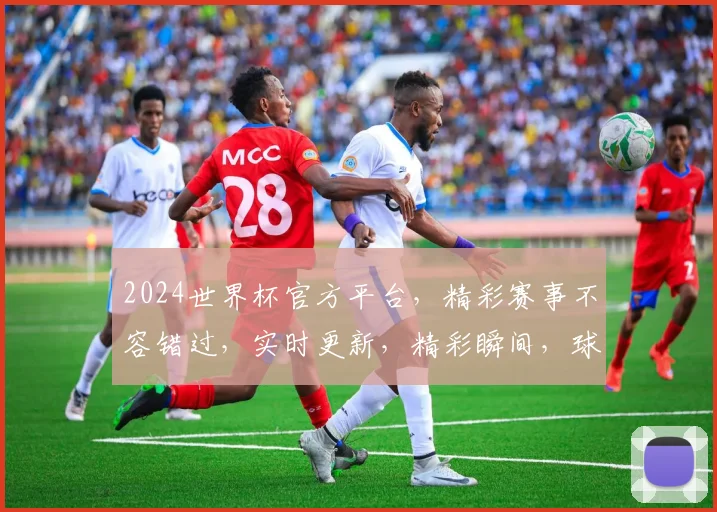 2024世界杯官方平台，精彩赛事不容错过，实时更新，精彩瞬间，球迷必备
